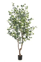 Artplants Kunstbaum Eukalyptus Anuhea, Kunststamm, GrüN-Grau, 180Cm