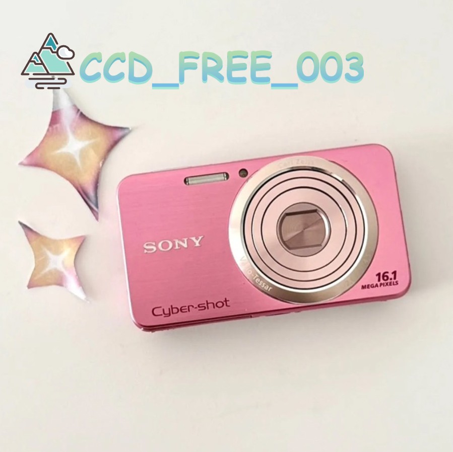 Sony Cyber-shot DSC-W630 16.1 MP Compact Digital Camera SD Card