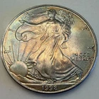 1998 Silver Eagle Toned