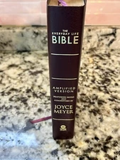 The Everyday Life Bible Power of Gods Word for Everyday Living Amplified Version