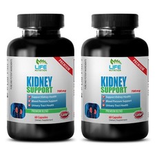 juniper berries for kidneys - PREMIUM KIDNEY ...