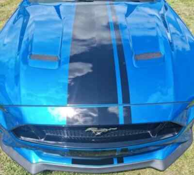 Ford Mustang Bonnet Roof Rear Side Stripes Graphics Any Year  Decal 04 Rally
