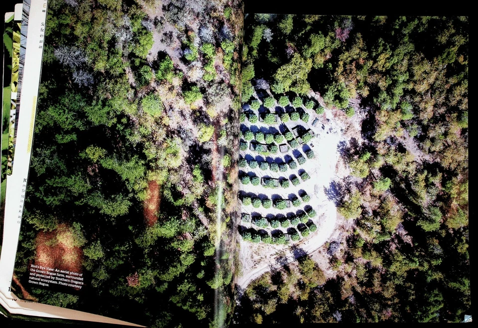 2017 Autumn Sun Grower Greenhouse Professional Marijuana Farming Magazine - Image 4 of 4