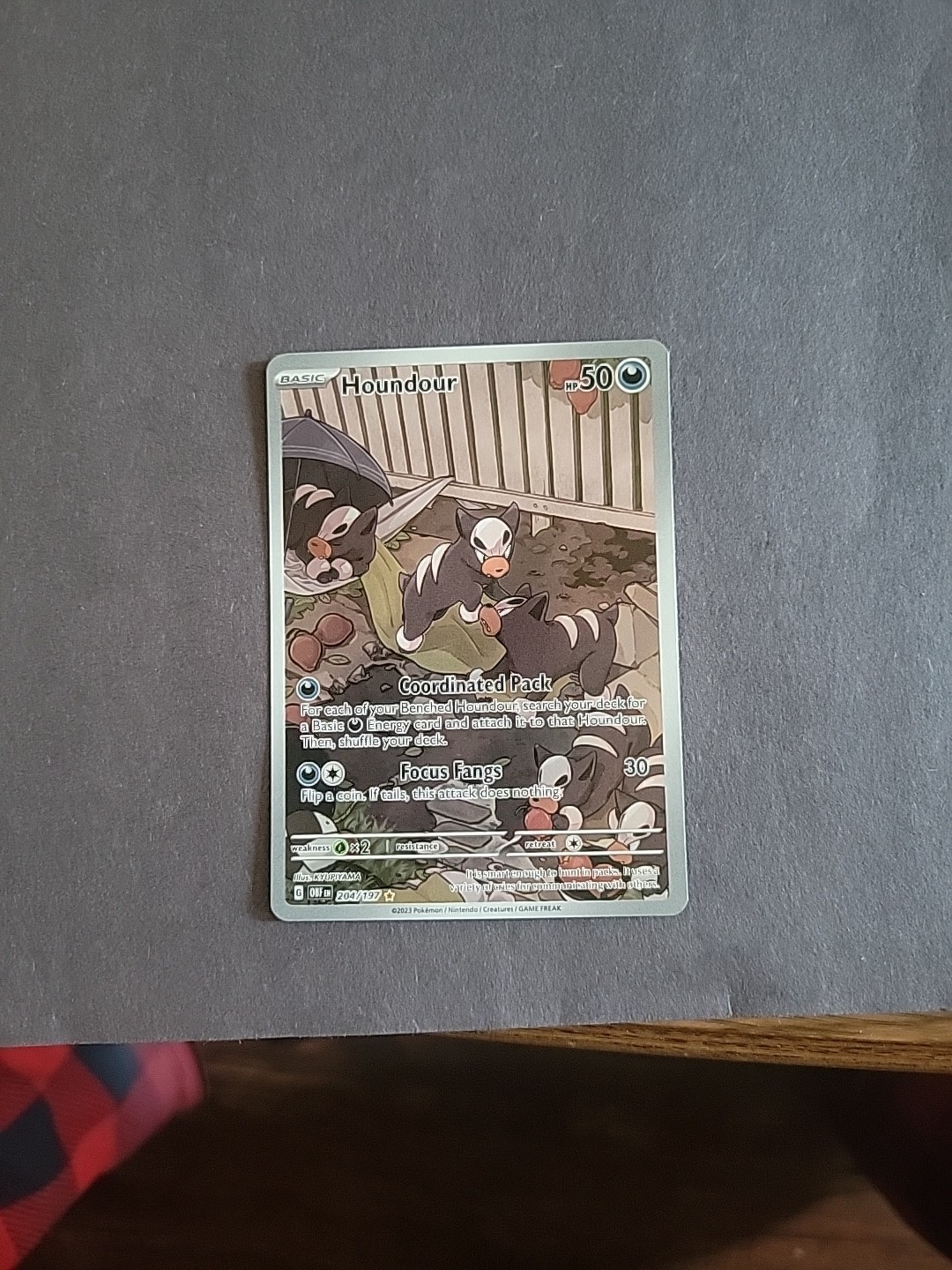 Houndour Obsidian Flames Holo Card 204/197 SV03 Mint Condition