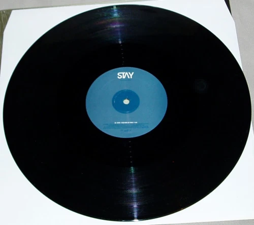 12" David Guetta  "Stay"  (Gum Records 2004) - Imagen 4 de 4