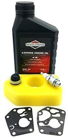 Briggs & Stratton Classic/Sprint Lawnmower Filter & Plug Service Kit Genuine - Picture 1 of 1