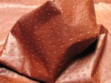 Leather Hides Online Ostrich Embossed Brown