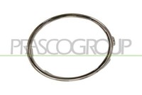 Prasco VG0381241 Rahmen, Nebelscheinwerfer FüR VW