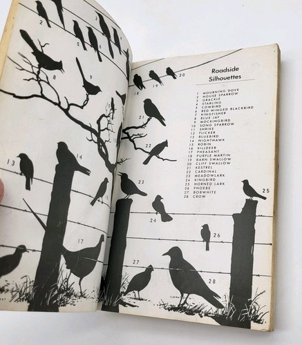 Ein Feldführer zu den Vögeln östlich der Rocky Mountains von Roger Tory Peterson Taschenbuch - Bild 6 von 8