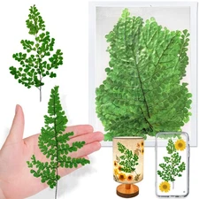 Natural Pressed Iron Wire Fern Leaves for Resin, 42PCS Green Real Dried Ferns...