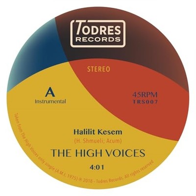 Zach Top - Halilit Kesem / Please Stay - Vinyl Record 7 - F659z