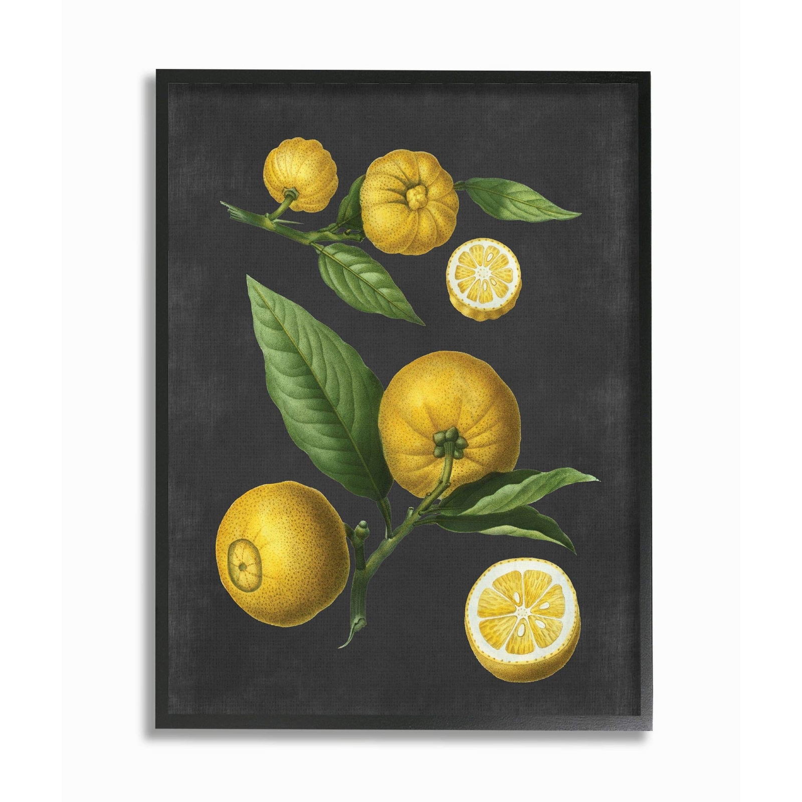 Botanical Lemons Wall Art by Artist Lettered and Lined 11 x Design