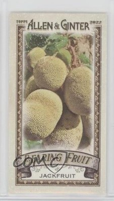 2022 Topps Allen & Ginter Bearing Fruit Minis Jackfruit #BF-10 tv5