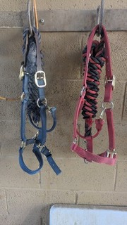 Weaver Leather 2 Pack Nylon Western Horse Halters 1" Avg 800 1100 lb