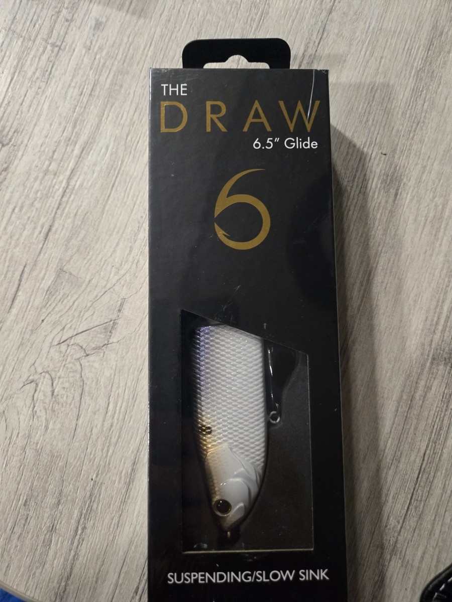Leurre Souple 6th Sense Draw 6,5 Pouces (DRW65-SDSE) – Glide Bait Shad Sense