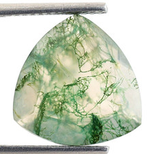 Natural Moss Agate Trillion Shape 13X13mm Loose Gemstone For Ring Making 4.75 Ct