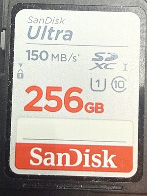 SanDisk Ultra 256GB SDXC Class 10 Speed Up To 150mb/SSD Memory Card