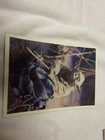 Star Wars Photo Cards Empire Strikes Back-5x7--1980 Lucasfilm — photo 5