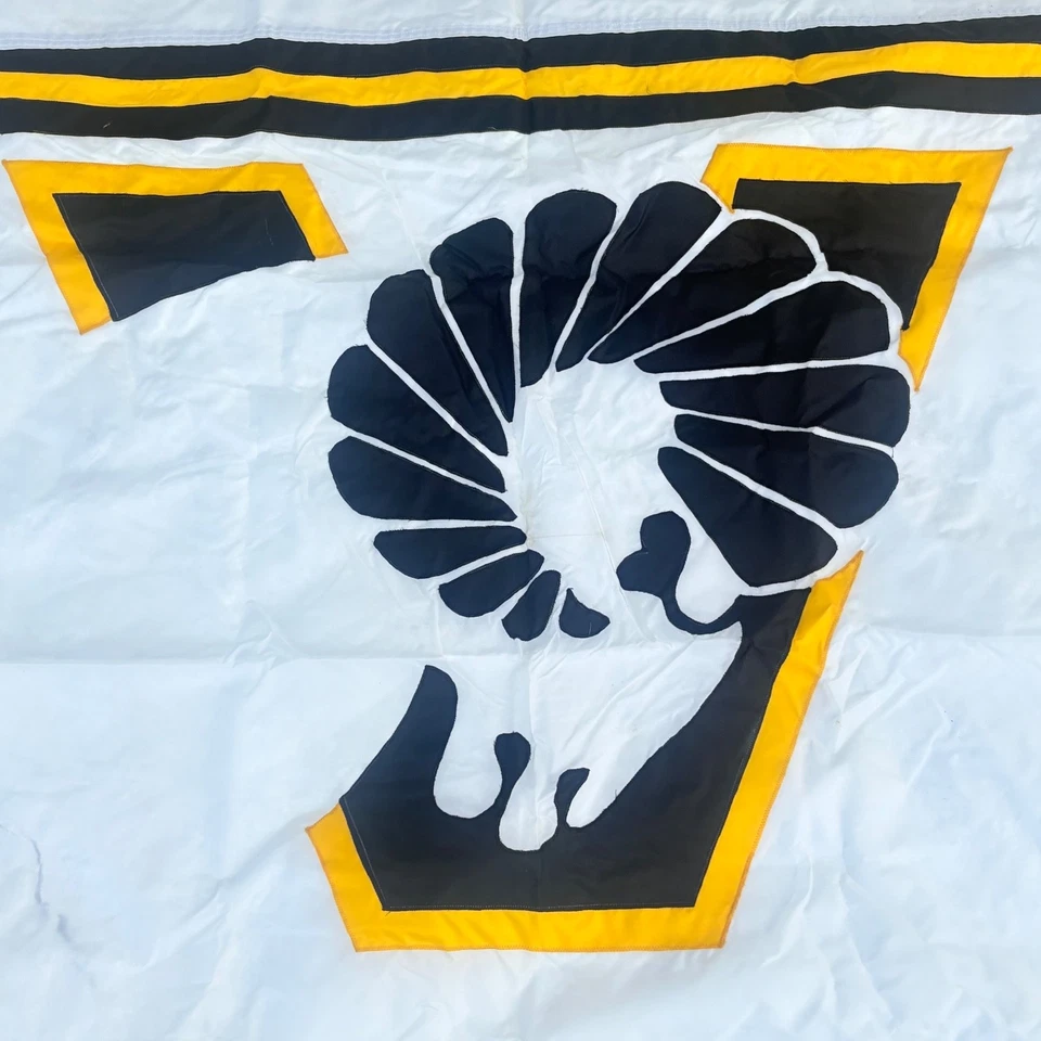 Virginia Commonwealth University VCU Rams Logo Banner 105x65” Grande Colgante de Pared Foto 3 de 4