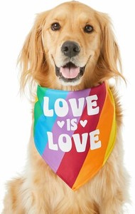 dog pride bandana