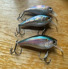 3 Lucky Craft Fat CB BDS 3 MS American Shad B.D.S.Big Daddy Strike Rare