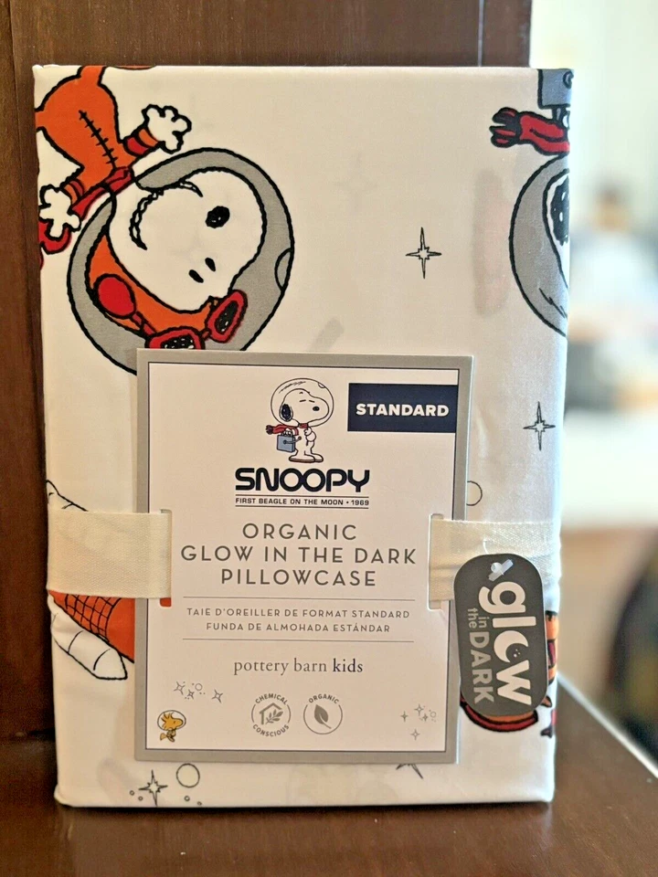 Pottery Barn Snoopy cacahuetes Espacio de vacaciones Escuela Regalo Funda de almohada Navidad SET 2 Foto 3 de 4