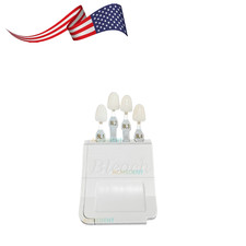 Dental Bleached Shade Guide 4Colors Bleaching Chart Teeth Whitening Based Vita
