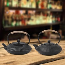 Cast Iron Teapot 0.8L Stovetop Kungfu Tea Maker for Household Camping Party
