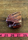 Arizona Rainbow Petrified Wood, .99 Lbs, Beautiful Jasperized Polished Display! — photo 5