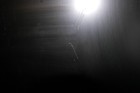 Bild 7 von 9