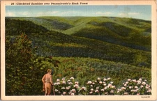 State Of Pennsylvania PA : PANORAMIC SCENE d/24 BE5422