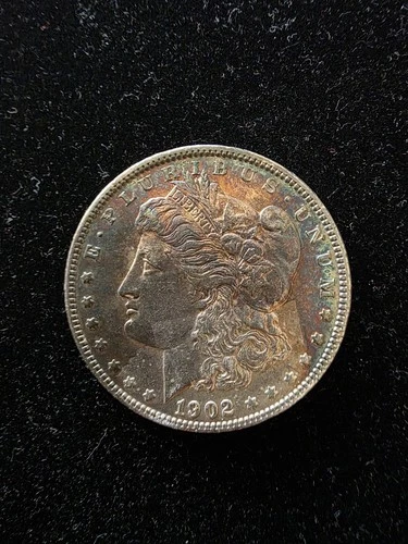 1902 Morgan Silver Dollar AU+