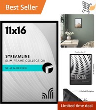 11x16 Picture Frame Plastic Wall Mount Modern Slim Black Plexiglass