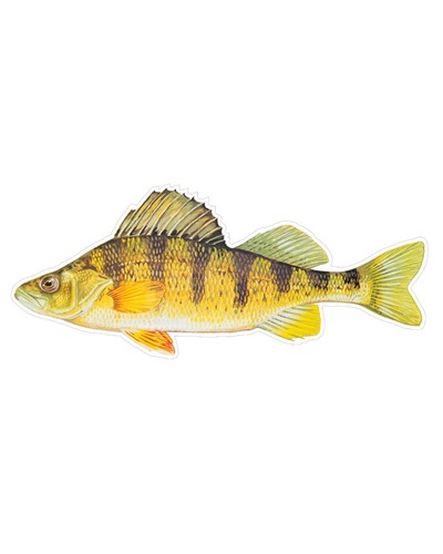 Fish Stickers and Magnets Small Mouth Bass and More Full List Below GGS Graphics - Picture 65 of 66