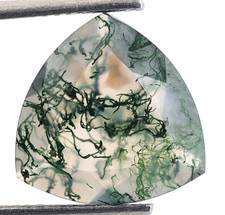 Natural Garden Moss Agate Trillion Shape 13X13 mm Loose Rare Gemstone 4.75 Ct.