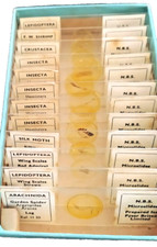 Instrument scientifique - Microscope -Coffret préparation de 12 lames-Britex