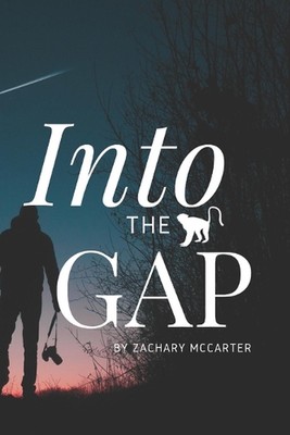 Into the Gap by Lisa McCarter Paperback Book