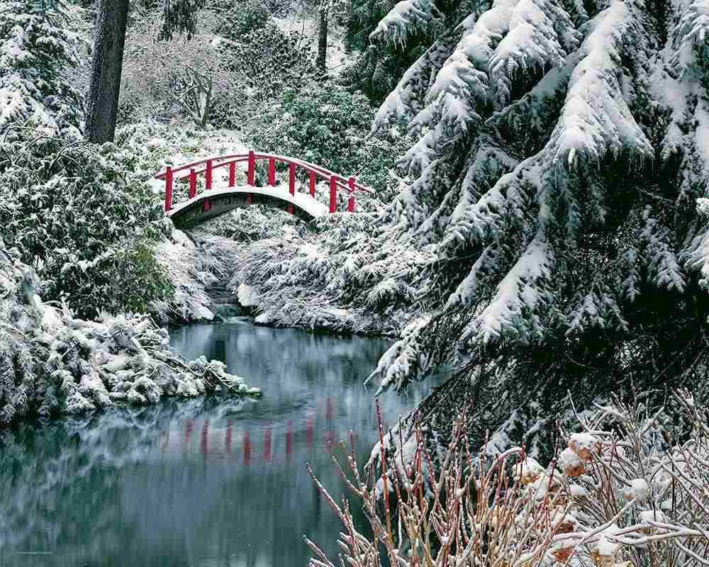 NATURES CROSSING 1500 PIECE JIGSAW PUZZLE by SPRINGBOK NEW & SEALED