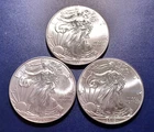 Lot of (3) Gem BU 2013 American Silver Eagles