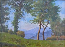 Andrea MAIRANI (Milano 1886-1970) Valbrona Como olio su tavola cm30x40 anno 1959