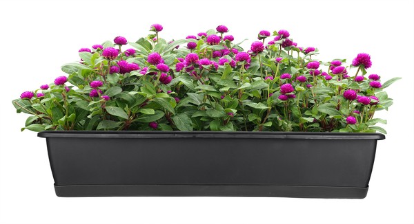 Blumenkasten Balkonkasten Pflanzkasten PflanzküBel + Untersetzer 80 Cm Anthrazit-image