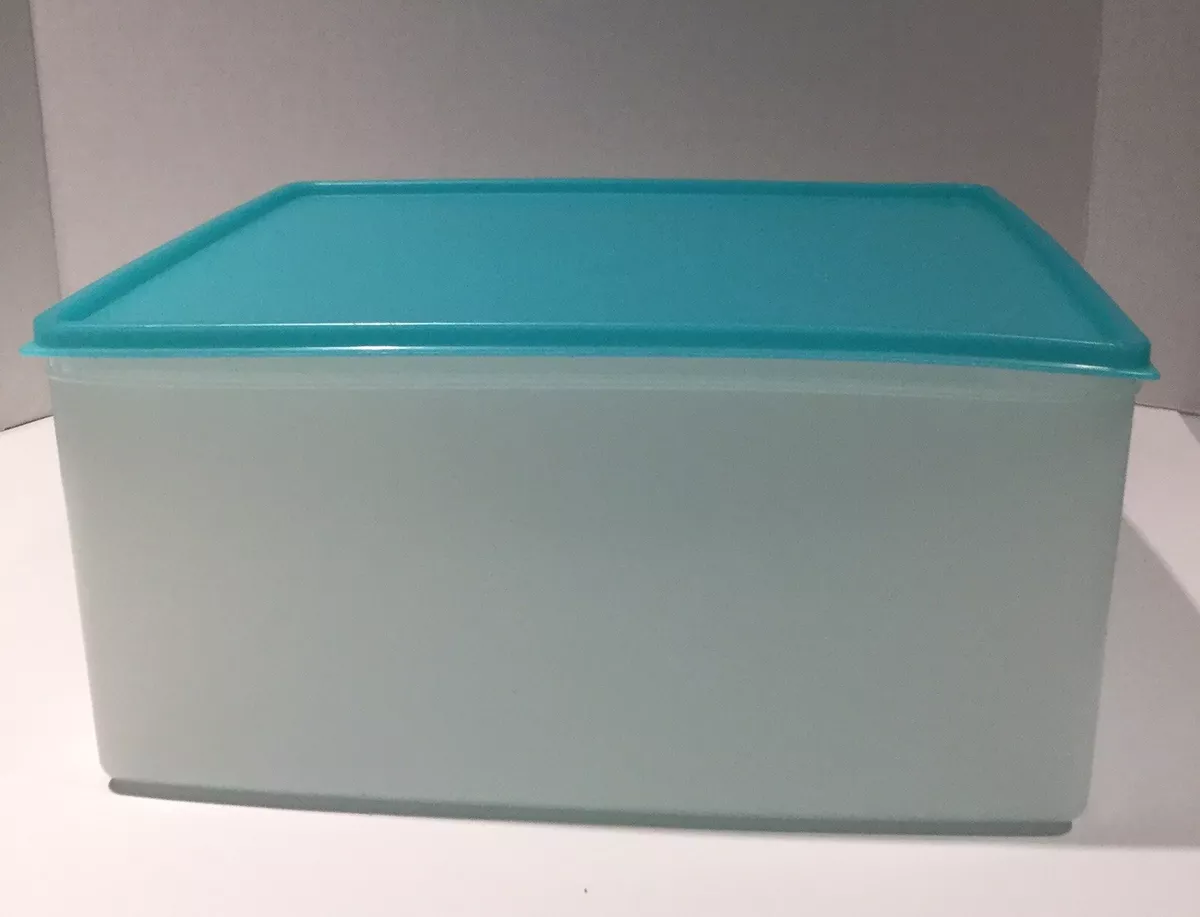 Large Tupperware Container 