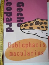 Poster / Print De Gecko Léopard 