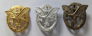 3 Sportabzeichen ADAC "Gold Silber Bronze" Preissenkung