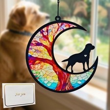 Dog Memorial Gifts for Loss of Dog with Rainbow Bridge Poem Card Pet Sympat...