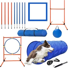 Dog Agility Training Equipment Set, Obstacle Course Starter Kit for Pet Outdoor 