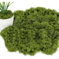 Kunstmoos Bastelmoos Dekorieren Aquarium Krippe Wand Modellbau GüNstig