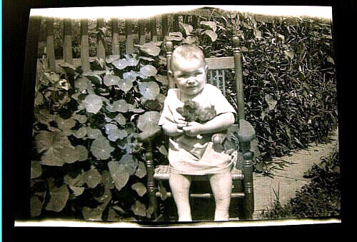 Vtg Medium Format B&W Negative Garden Baby Girl Picture Teddy Bear Rocking Chair