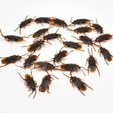 Prank Cockroaches Realistic Cock roach Rubber Fake Creepy Bugs Gag Toy Joke 50Pc