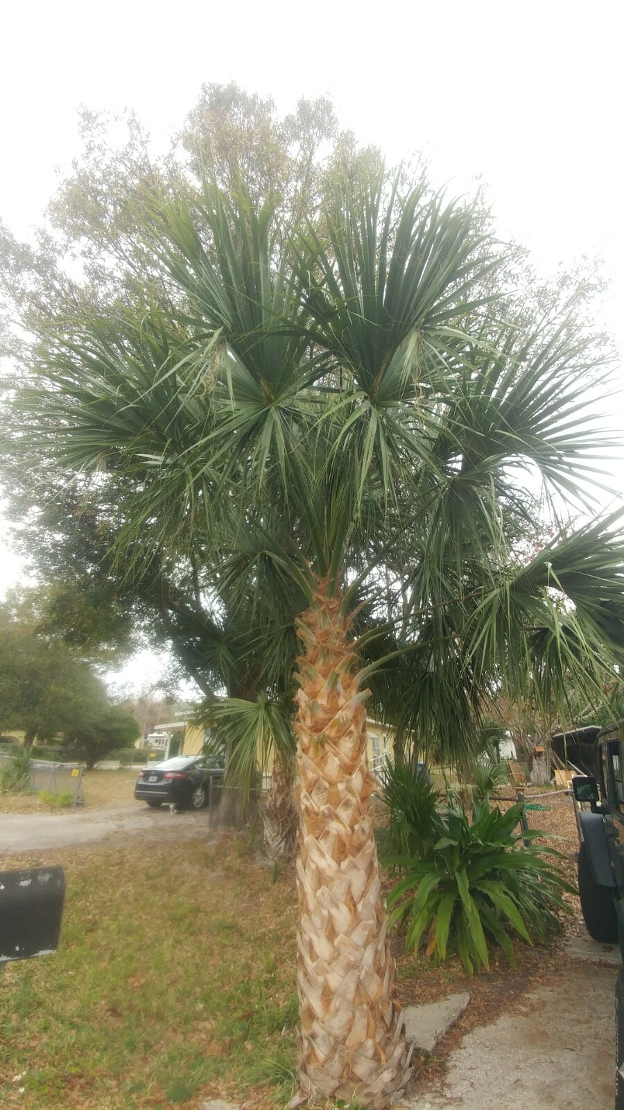 Picture 4 of 9